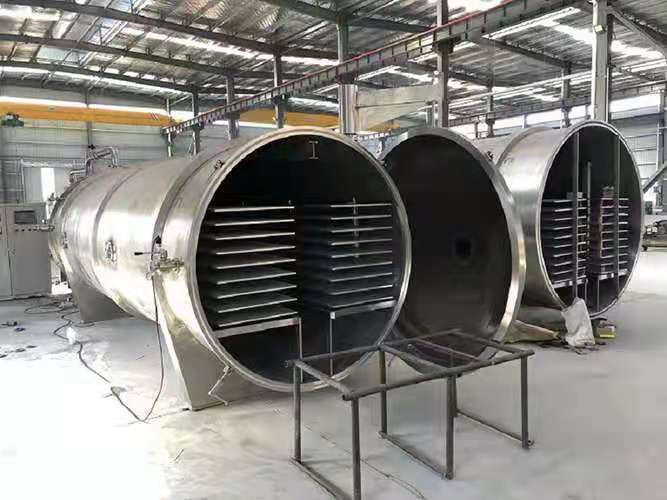 松茸米兰体育直播